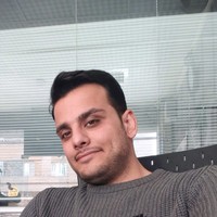 Shahin Poreisa