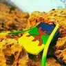 Moha Jadydy