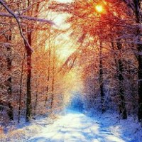 amirhossein hosseinzadeh