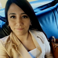 Diana del Rocio Vizconde Burga