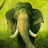 Tamil English