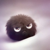 侯绪昕
