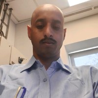 Raman Raj