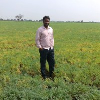 venkatesh chowdavarapu