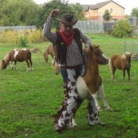 Dave Humphrey Oddjob at Visualskies