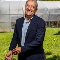 Alfonso Gomez