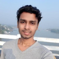 PALLAB ROY
