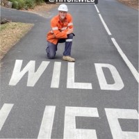 Cameron Wild