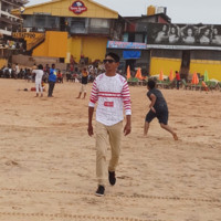 Satish Vankar