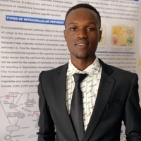 Dada Omoniyi Vincent