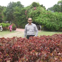 S M Fazlul Haque