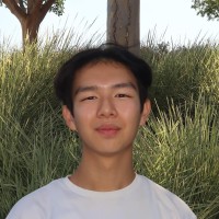 Mark Andrew Tjandrawidjaja