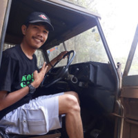 Dini Fauzi