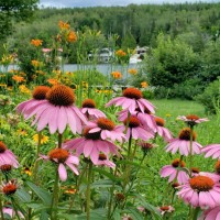 Chantal Dussault