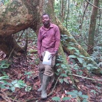 Brice NDINGA MOUSSAVOU BOUSSAMBA