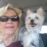 Debra Holcombe