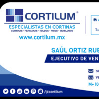 Saul ortiz rueda
