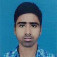 Rajveer Roy
