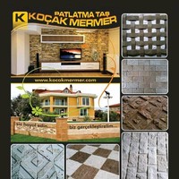 Mustafa nevzat Koçak