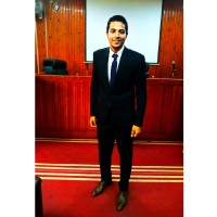 Mahmoud A. Meslhy