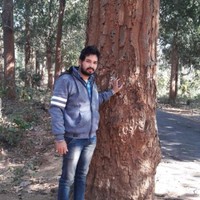 Rakesh Kumar Panda