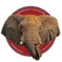 Elephant Outlook