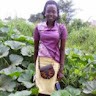 Akello Nighty