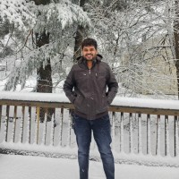 Prudhvi Krishna