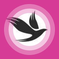 free crypto