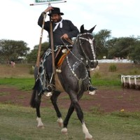 Laureano Silvestre Coronel