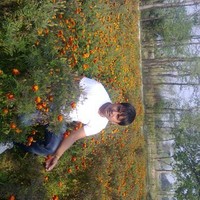 md.shahabuddin uddin