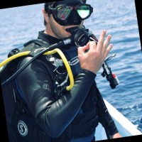 Shebokshy Diver