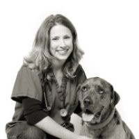 Vicki Pollard, AIA, CVT