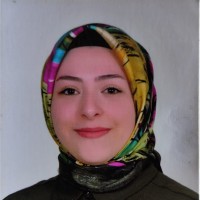 Sema Elif Akinci