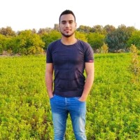 Muhammad Salah
