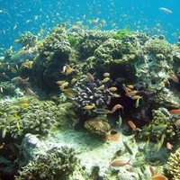 Mugilan Mugilan Selvam