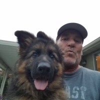 Randy Memmott