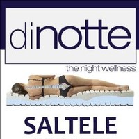 Dinotte Cignus
