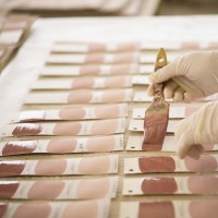 Scuola del colore Spring Color