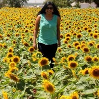 Sunitha Rao