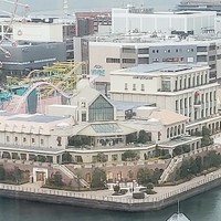 菅野雄大