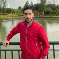 Akram Aboulouafa