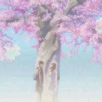 蒋宏兵