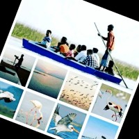 Nalsarovar Bird Century