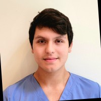 Adrian Perez Iv