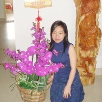 Cindy You