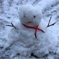 陈雪莲