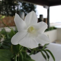 Hr Samujana Villas
