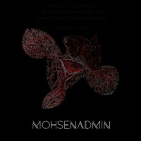 Mohsen Admin