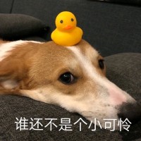 范誉钟